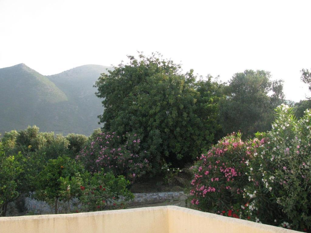 Skoutari Beach Hotel Skoutárion Quarto foto